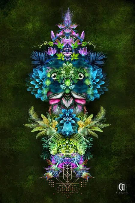 Masque naturel psychédélique par Ymagyne