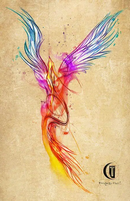 Phoenix Dessin réalisé par Ymagyne à la Cabane à Tattoo