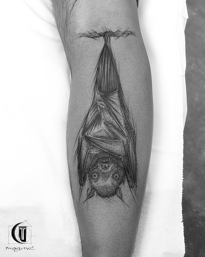Chauve Souris Tattoo, Tatouage fait par Ymagyne à La Cabane à Tattoo